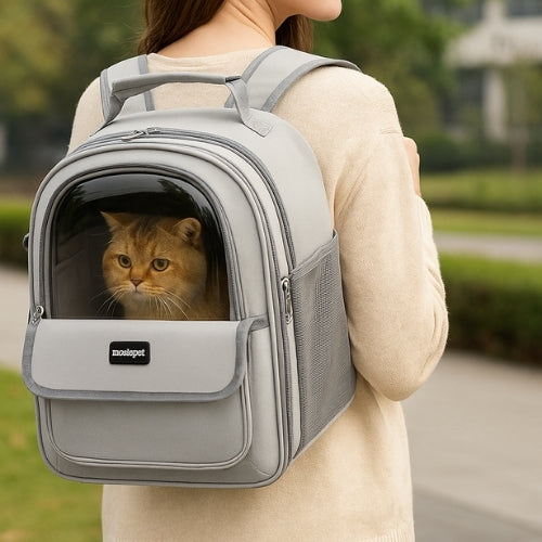 Sac de transport à dos pour chat 33×40×25 cm